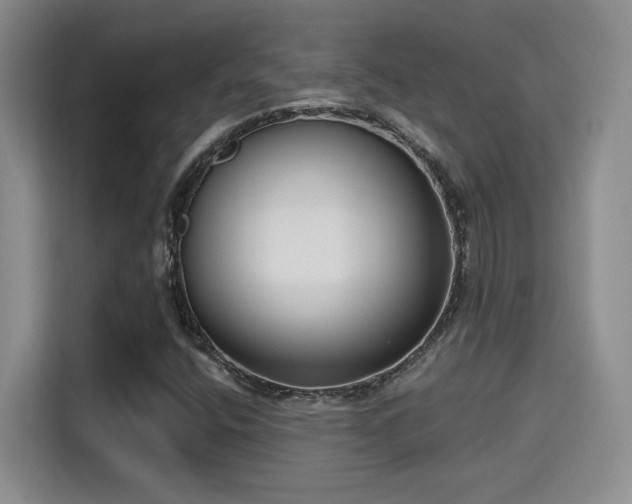 X0000115671400200911191016