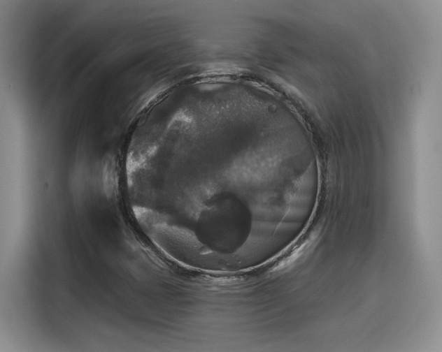 X0000115671401200911191016