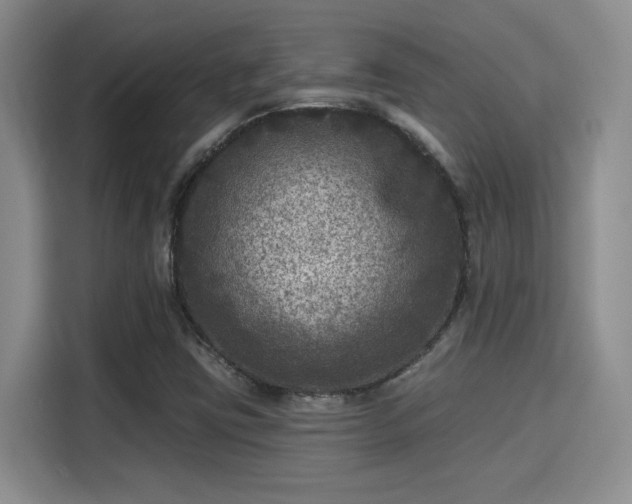 X0000115671403200911191016