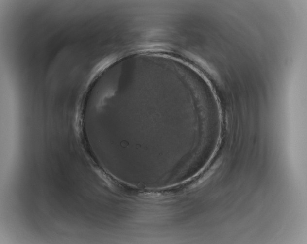 X0000115671405200911191016