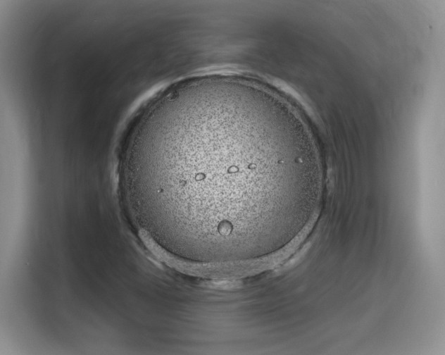 X0000115671406200911191016