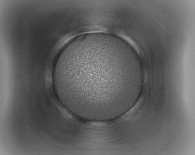 X0000115671407200911191016
