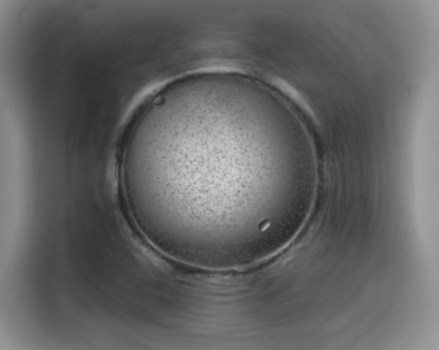 X0000115671408200911191016