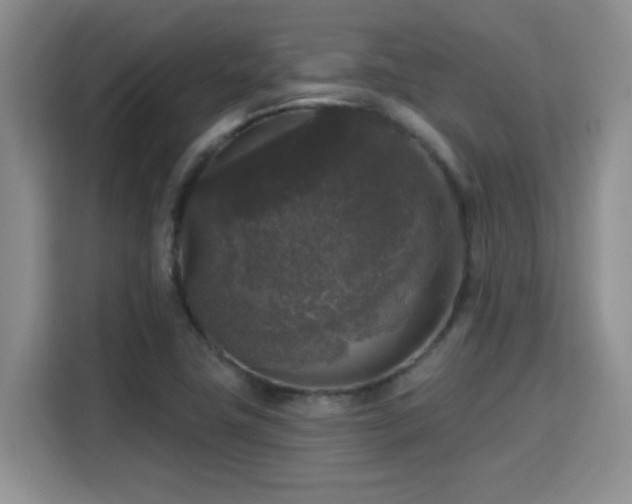 X0000115671411200911191016
