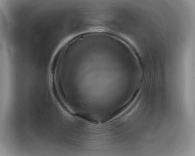 X0000115671414200911191016