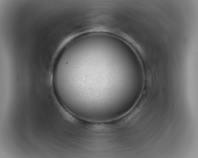 X0000115671416200911191016