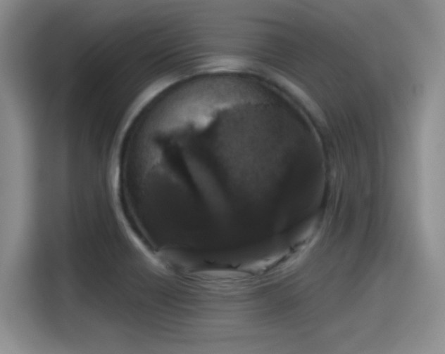 X0000115671418200911191016