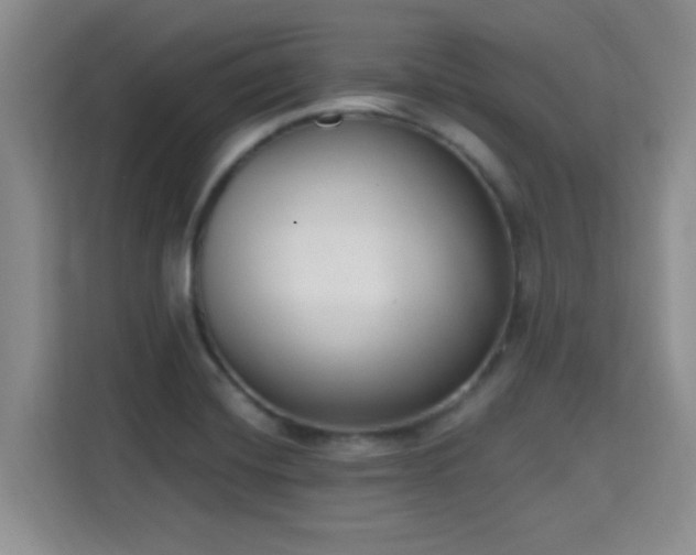 X0000115671420200911191016