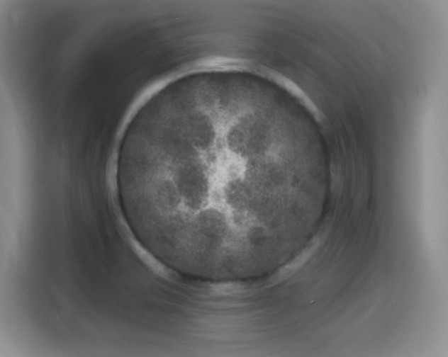 X0000115671421200911191016