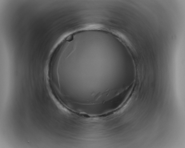 X0000115671422200911191016