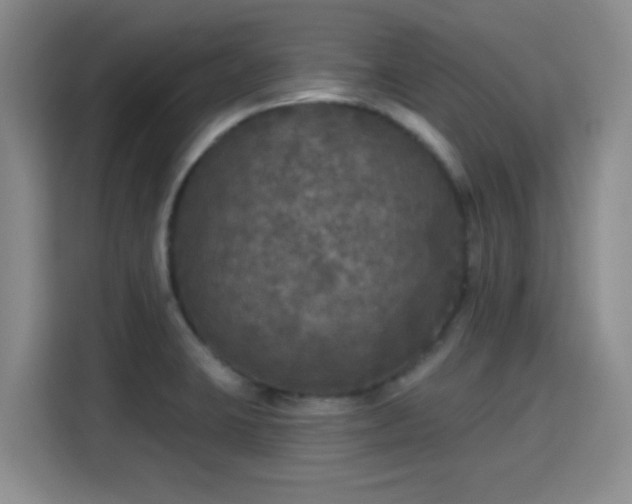 X0000115671423200911191016