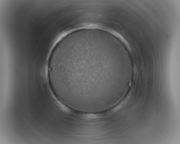 X0000115671424200911191016