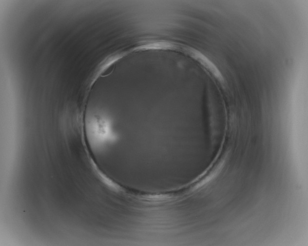 X0000115671425200911191016