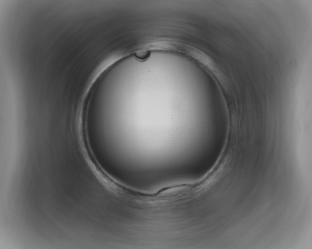 X0000115671426200911191016