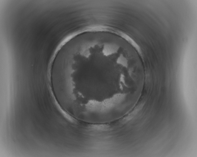 X0000115671429200911191016