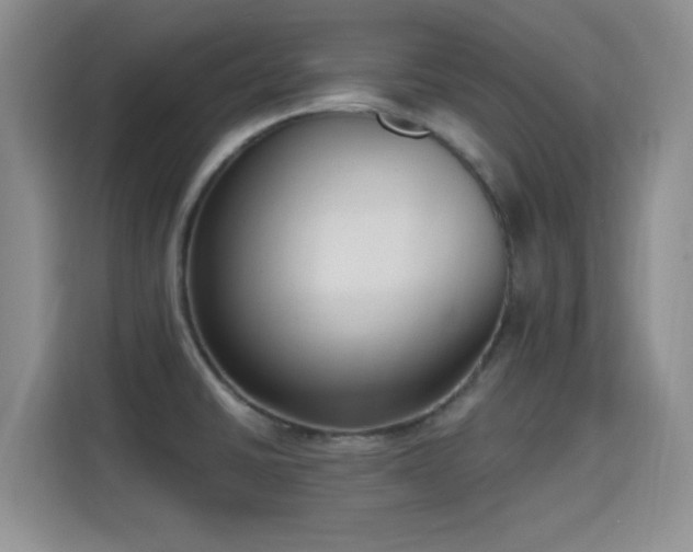 X0000115671430200911191016