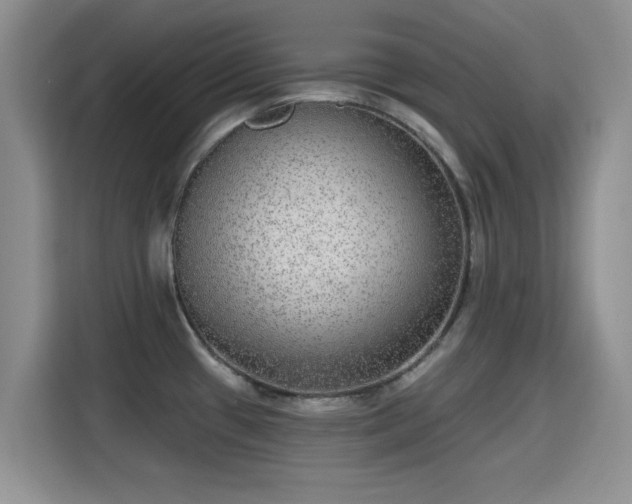 X0000115671433200911191016