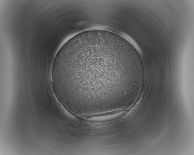 X0000115671436200911191016