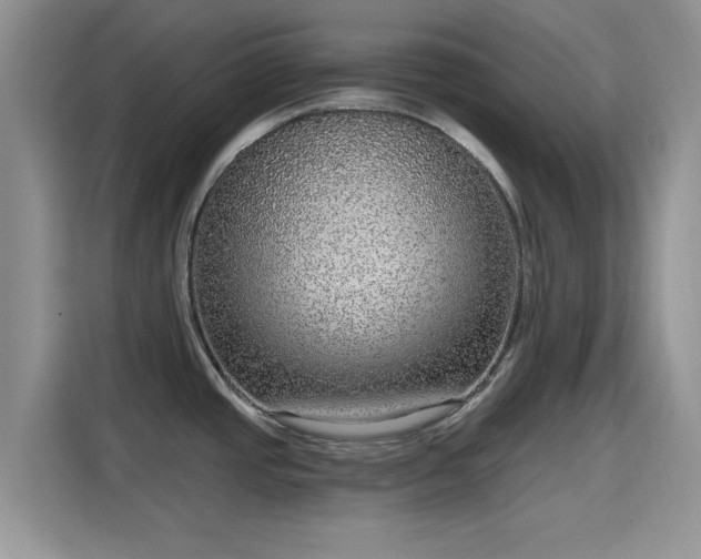 X0000115671437200911191016