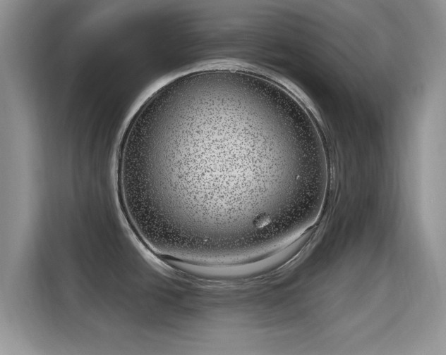 X0000115671438200911191016