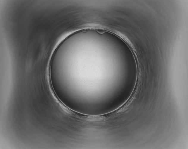 X0000115671440200911191016