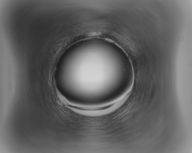 X0000115671441200911191016