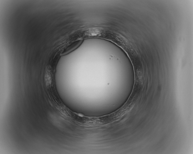 X0000115671442200911191016