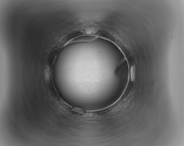 X0000115671443200911191016