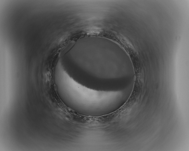 X0000115671445200911191016