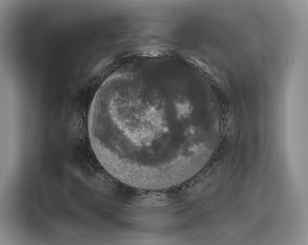 X0000115671446200911191016