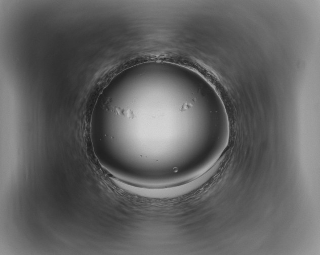 X0000115671447200911191016