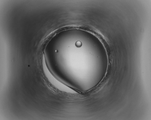 X0000115671448200911191016