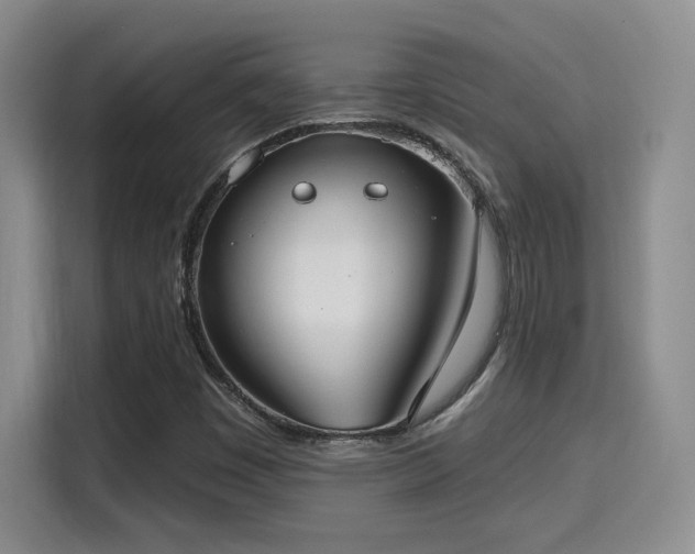 X0000115671449200911191016