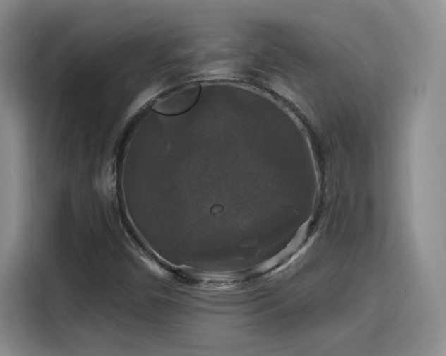 X0000115671450200911191016