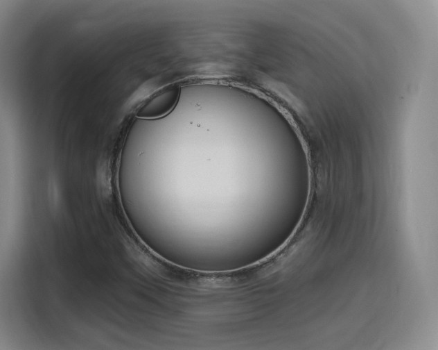 X0000115671451200911191016
