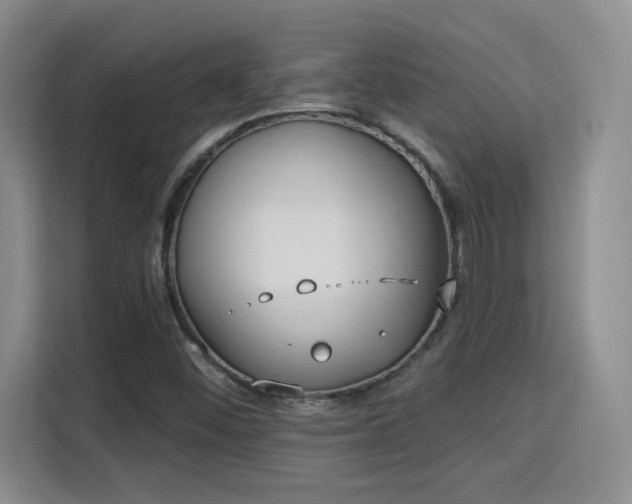 X0000115671452200911191016