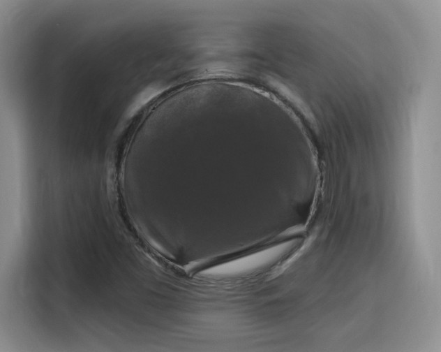 X0000115671453200911191016