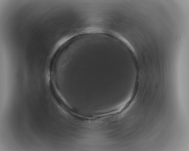 X0000115671461200911191016