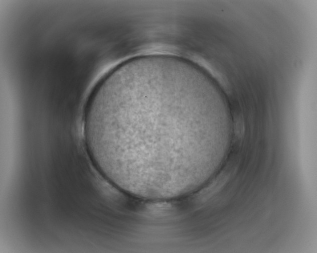 X0000115671462200911191016