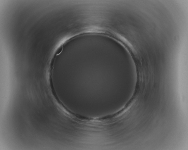 X0000115671463200911191016