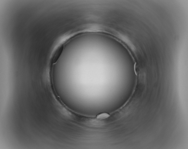 X0000115671464200911191016