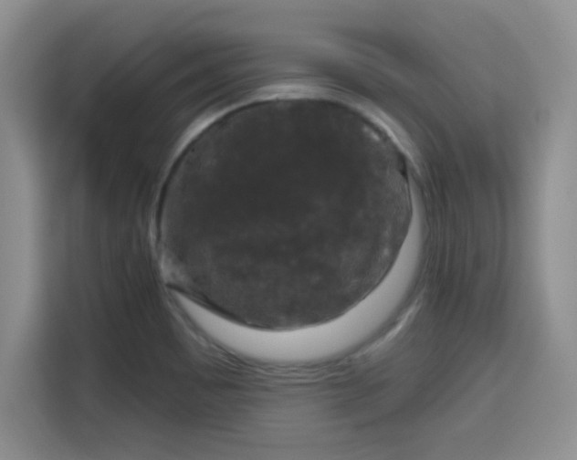 X0000115671465200911191016