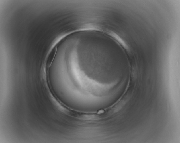 X0000115671468200911191016