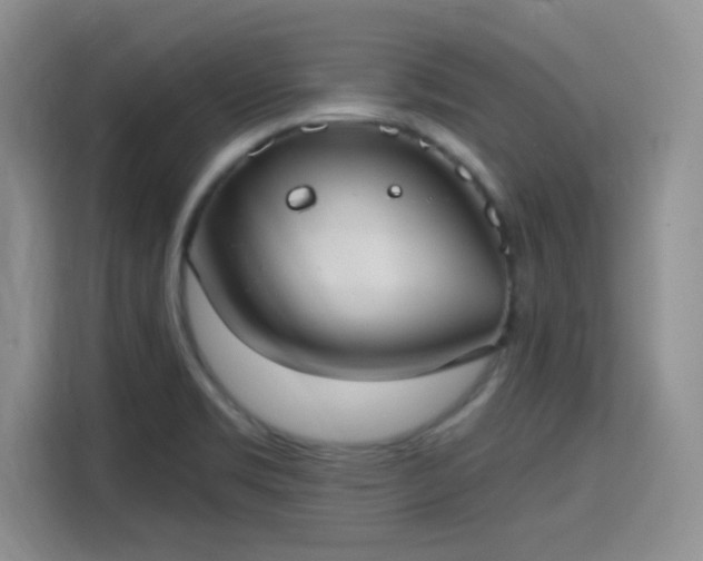 X0000115671469200911191015