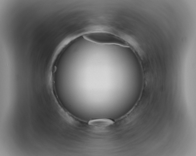X0000115671472200911191015