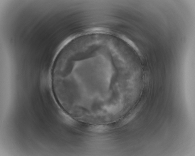 X0000115671474200911191015