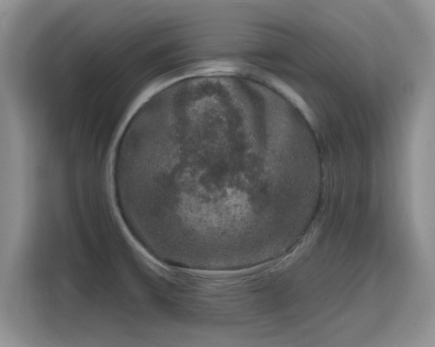 X0000115671475200911191015