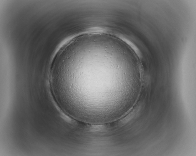 X0000115671477200911191015