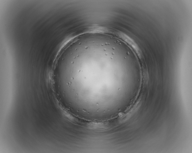 X0000115671481200911191015