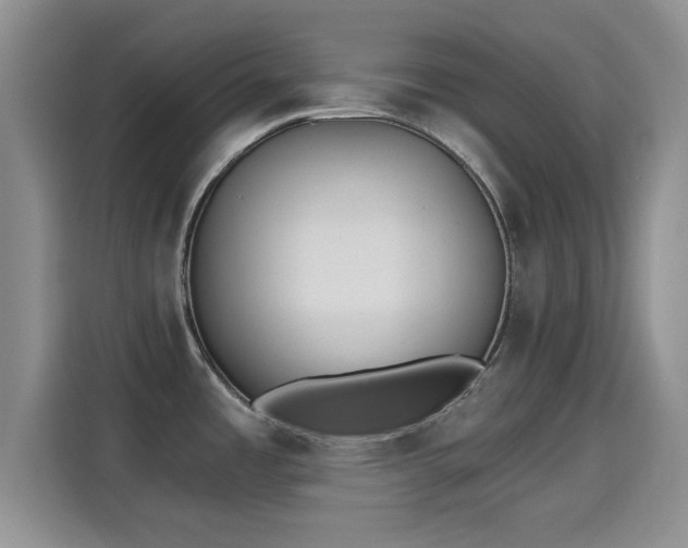 X0000115671485200911191015